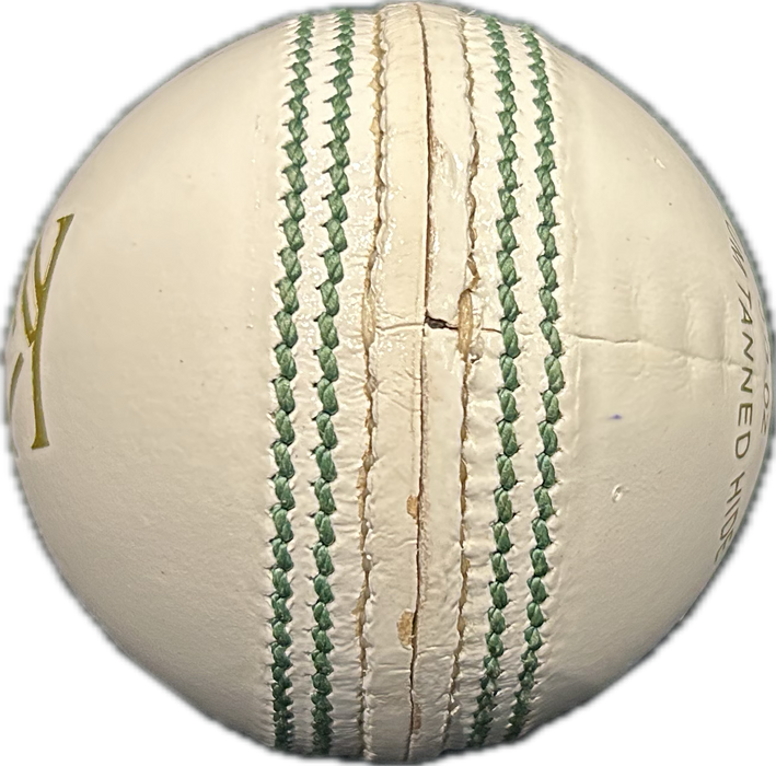 KS True Test Cricket Ball Colour White