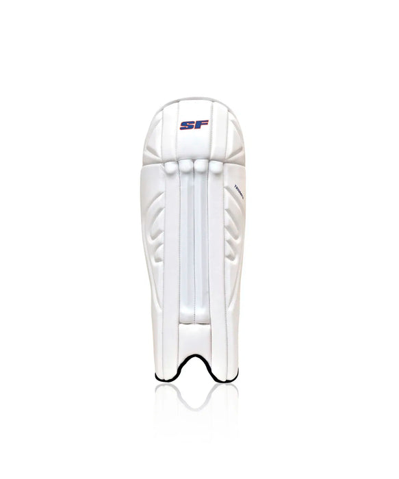 Triump Wicket  Keeper Pad